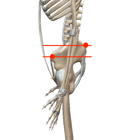 骨と筋肉が正しい位置に無く崩れているとき