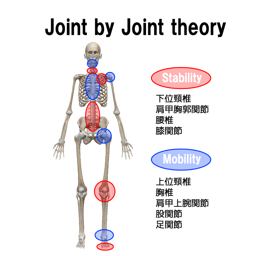 Joint by Joint Approach