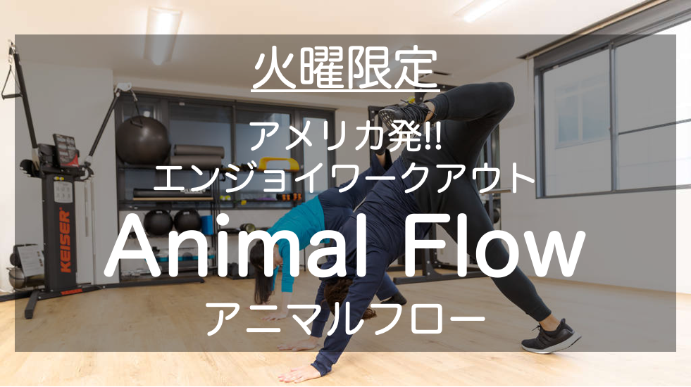 ［火曜限定］Animal Flowでリフレッシュ♪〜江坂パーソナルジムARROWs〜